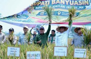 Panen Raya Padi IP 100 di Banyuasin, Lahan Lebak 67 Hektare Hasilkan Potensi Produksi 9,1 Ton