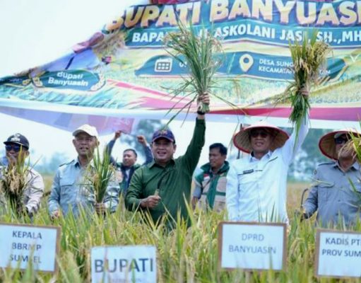 Panen Raya Padi IP 100 di Banyuasin, Lahan Lebak 67 Hektare Hasilkan Potensi Produksi 9,1 Ton