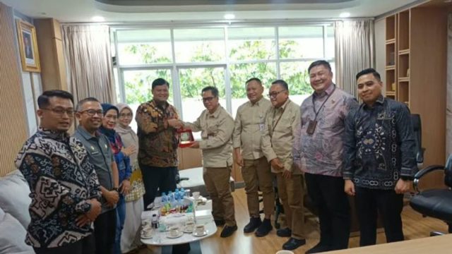 banyuasin4